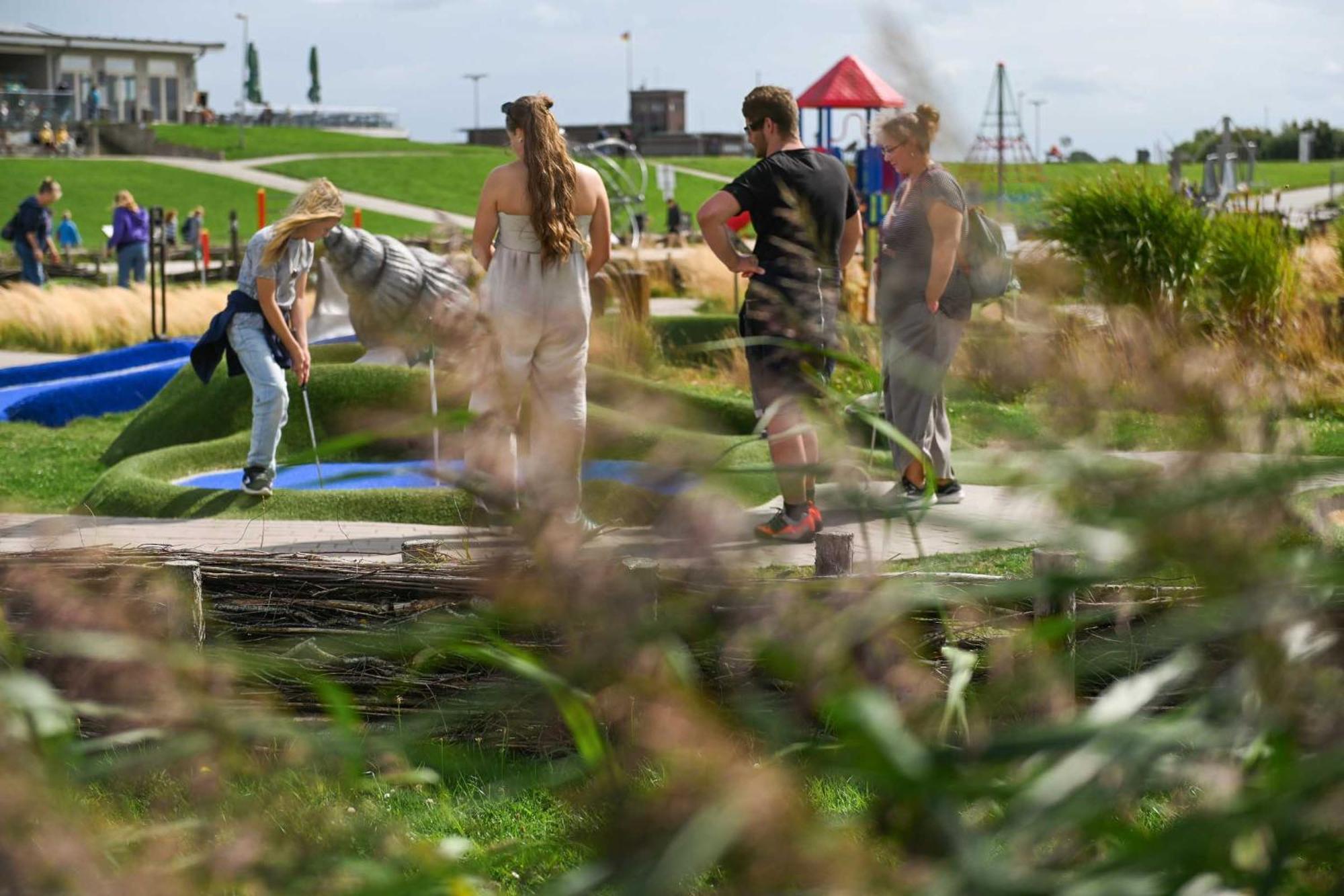 Tiny House Nature 13 Zur Kuhweide - Green Tiny Village Harlesiel คาโรลิเนนซีล ภายนอก รูปภาพ